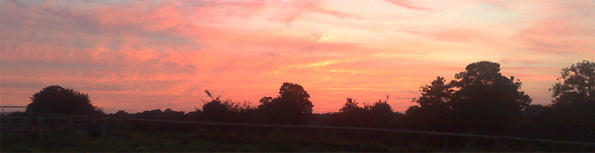 Sunset header